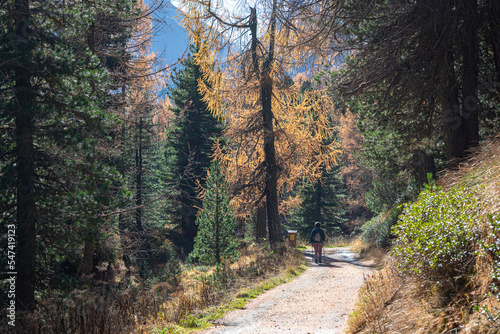 Hiker on a hiking trail in the Swiss Alps on a sunny autumn day