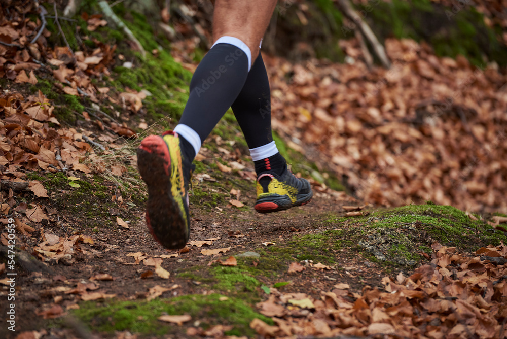 Trail Run Trail Run