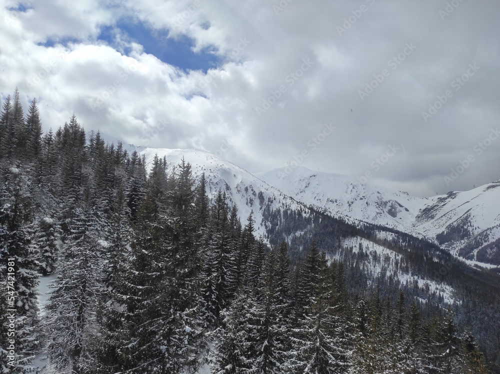 View of the winter mountains covered with snow