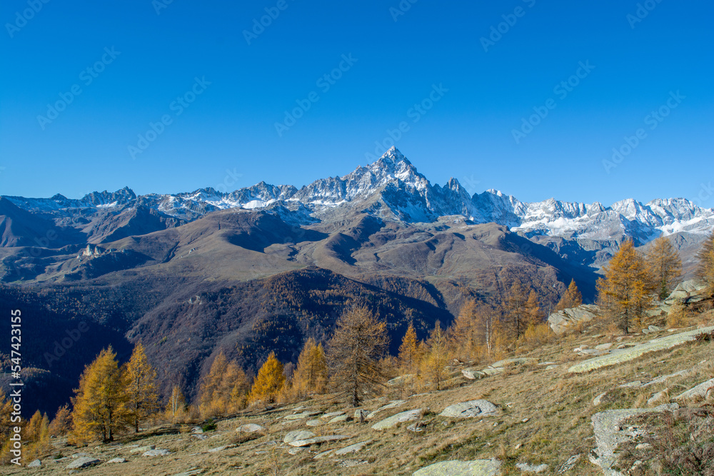Tutto l'oro del Monviso. Ostana uno dei borghi più belli d'Italia Tutto l'oro del Monviso. Ostana uno dei borghi più belli d'Italia