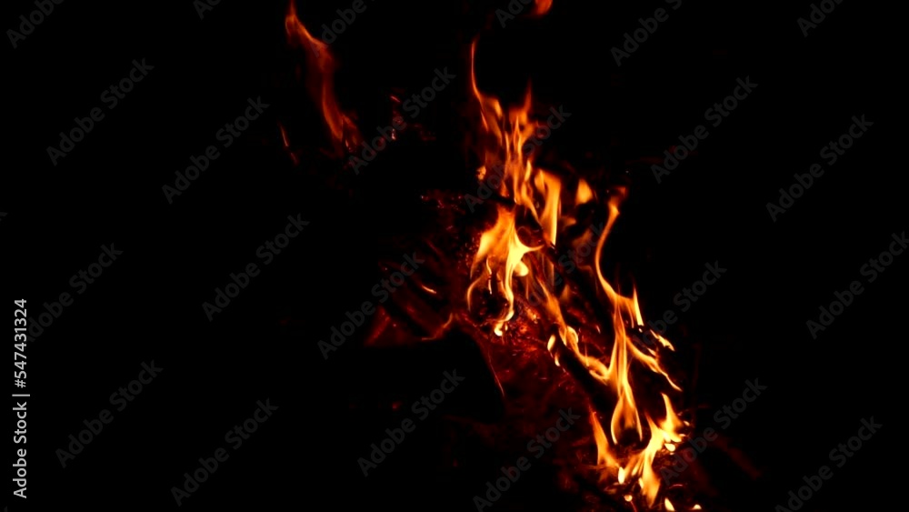 Fire flames, natural disaster, forest fire, woods on fire, danger in forest. Fire flames, natural disaster, forest fire, woods on fire, danger in forest.