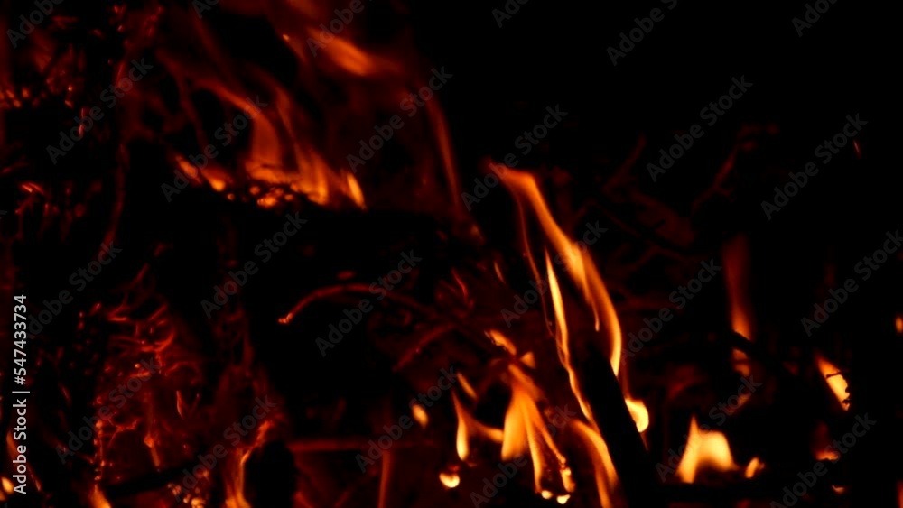 Fire flames, natural disaster, forest fire, woods on fire, danger in forest. Fire flames, natural disaster, forest fire, woods on fire, danger in forest.