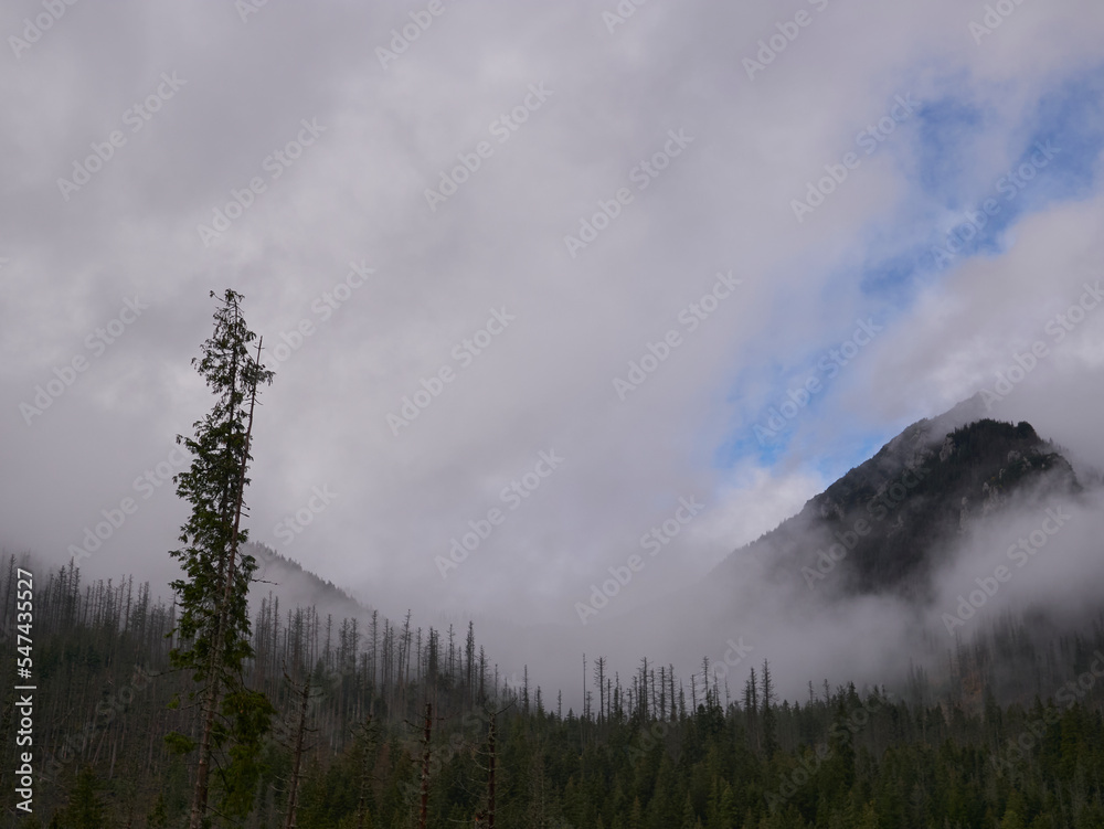 Peak summit in the fog - Kasprowy Wierch