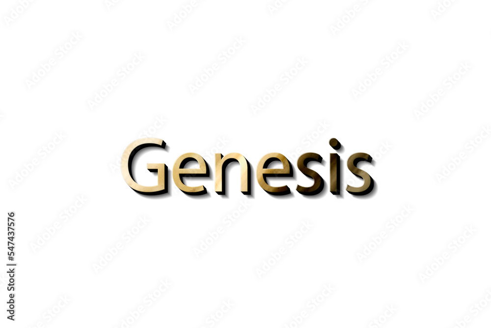 GENESIS 3D NAME GENESIS 3D NAME