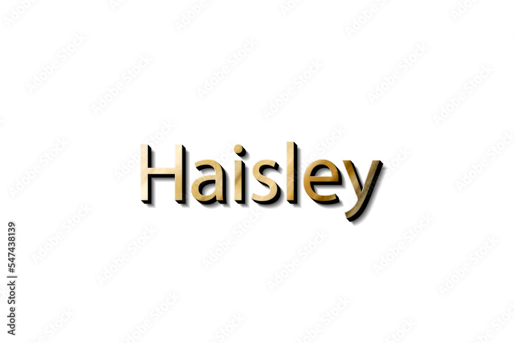 HAISLEY 3D NAME