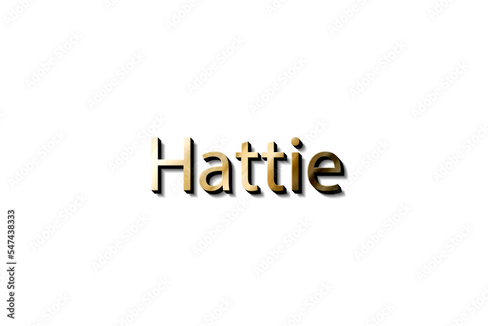 HATTIE 3D MOCKUP