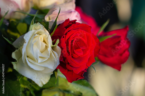 bouquet of roses