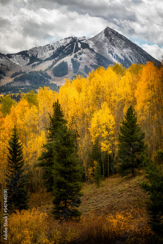 Mt. Crested Butte in Autumn