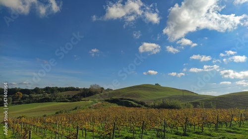 colori e natura della Toscana Senese