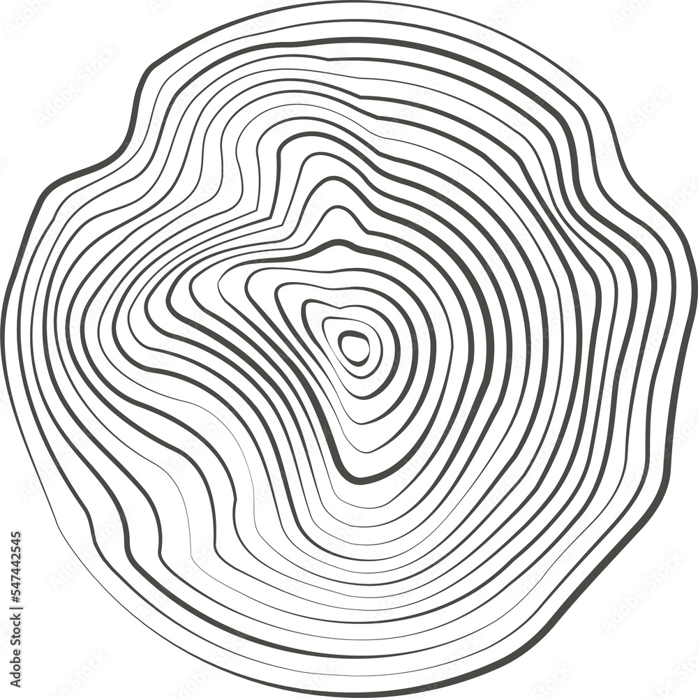 Topography line circles. Tree rings organic pattern. Nature wavy contour shape. Topographic icon.

