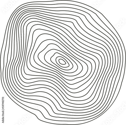 Topography line circles. Tree rings organic pattern. Nature wavy contour shape. Topographic icon. 