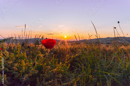 La magia del tramonto