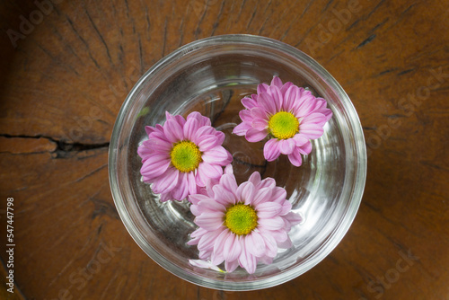 Three Daisy flowers floating on a clear glass bowl