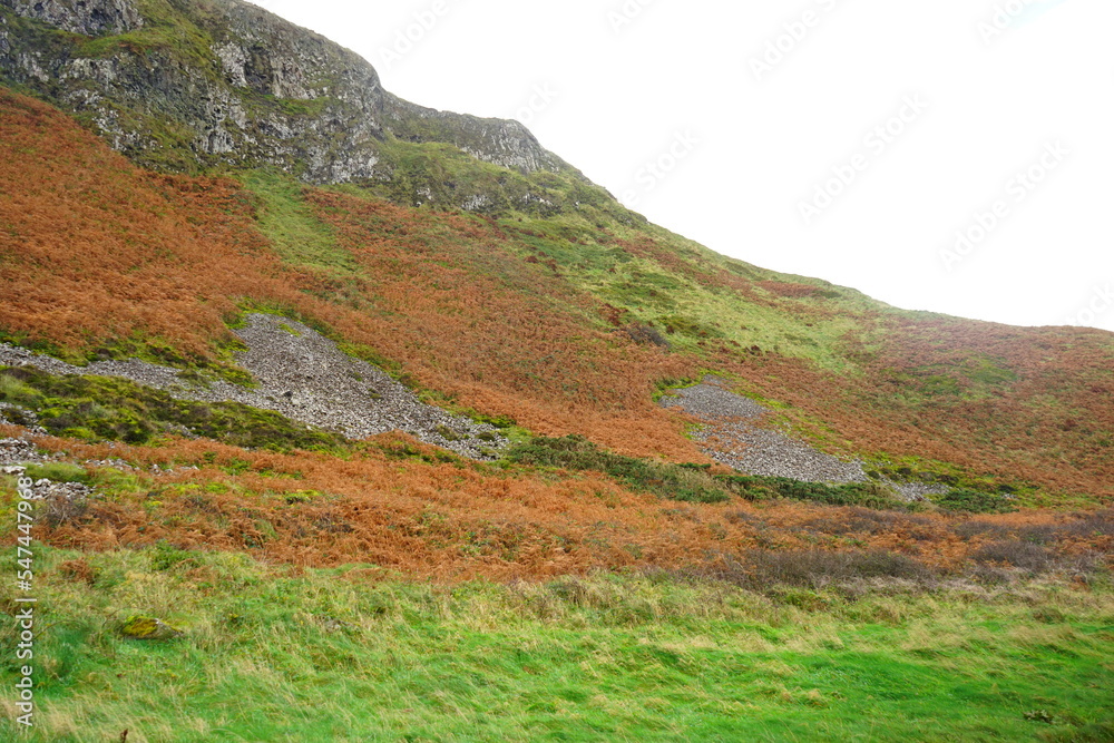 Fototapeta premium Giant's Causeway and Coast, Interlocking Basalt Columns in Antrim, Northern Ireland 