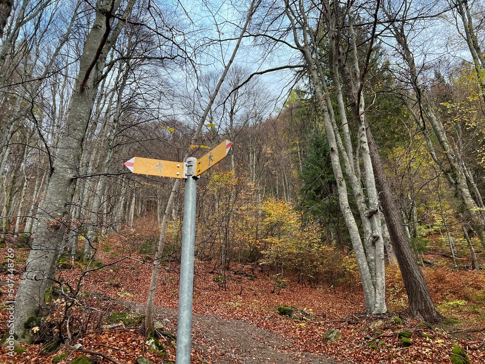 Mountaineering signposts and markings on the slopes of the alpine mountains above the Taminatal river valley and in the massif of the Swiss Alps, Vättis - Canton of St. Gallen, Switzerland (Schweiz)