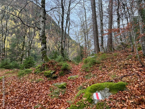 Mountaineering signposts and markings on the slopes of the alpine mountains above the Taminatal river valley and in the massif of the Swiss Alps, Vättis - Canton of St. Gallen, Switzerland (Schweiz) photo