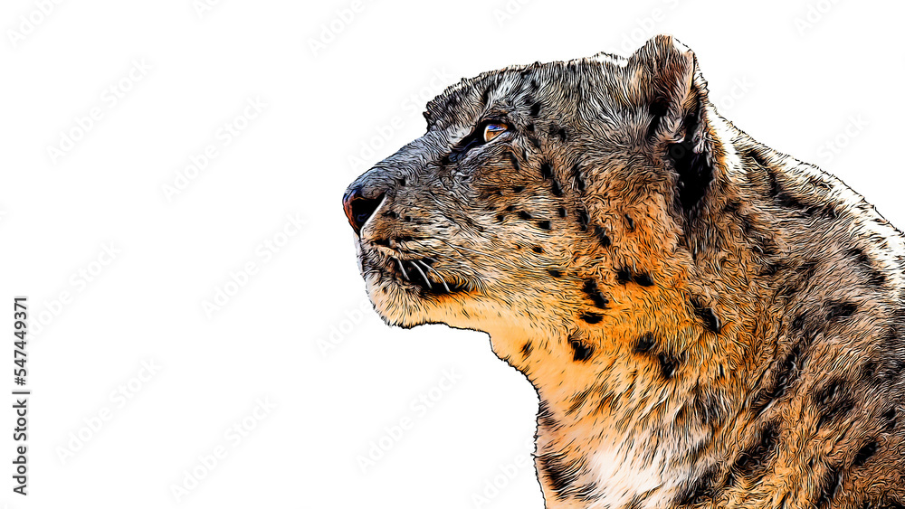 Obraz premium PNG with a transparent background digital portrait painting comic book style illustration of a snow leopard 