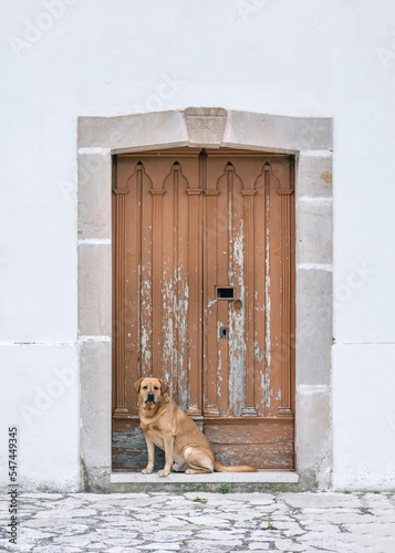 Colletorto, Molise: espressioni. 