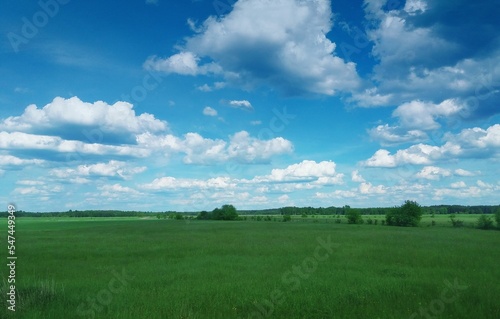 green fields with sky and clouds