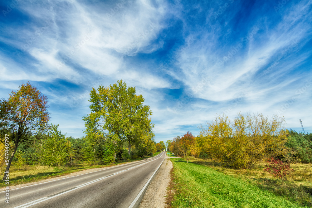 Naklejka premium Landscape autumn with colourful trees, autumn Poland, Europe and amazing blue sky with clouds, sunny day