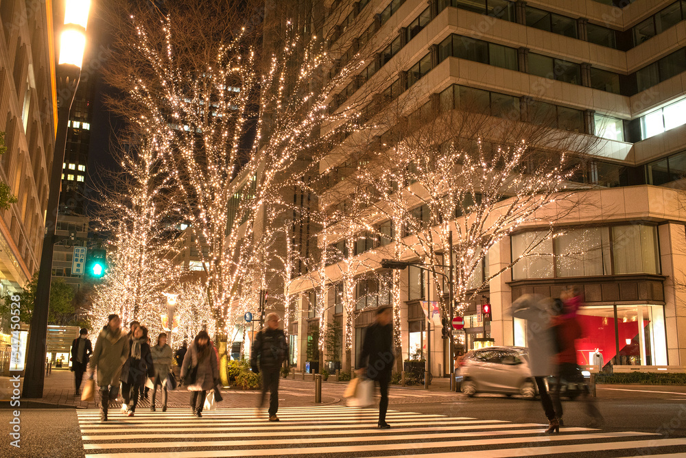 People walking on illuminated Marunouchi Nakadori Street in Tokyo during winter