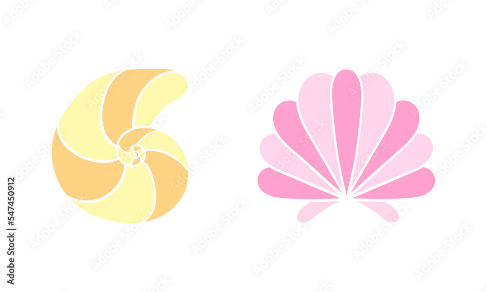 illustration of shells in bright colors on a white background