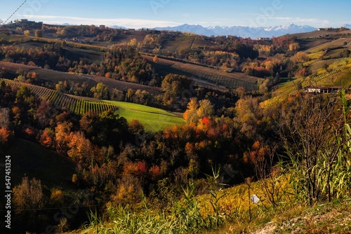 The colors of the Langhe in autumn in Serralunga D`Alba, with the vineyards and hills that are colored with warm colors like the autumn season