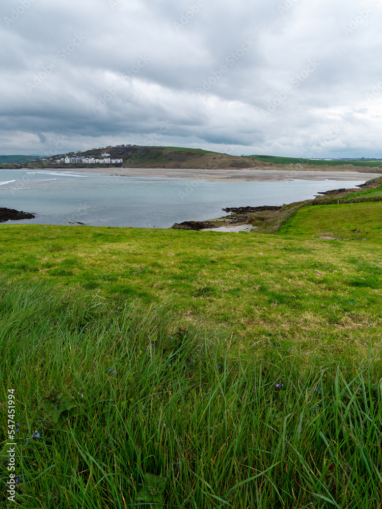 View of Clonakilty Bay on a cloudy day. Thick grass near the sea. The coastline of the south of Ireland.