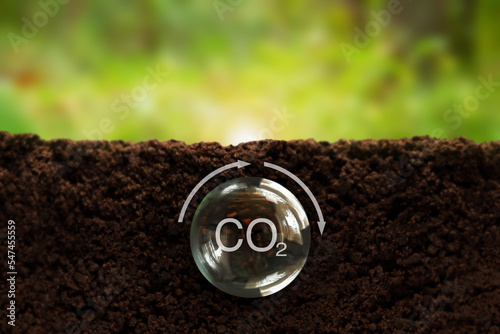 Formula of carbon in a transparent ball underground, on a green background. Reducing carbon emissions, carbon neutral concept. Net zero greenhouse gas emission target.