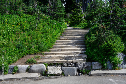 Wood steps at beginning of Skyline Trail in Paradise area of Mt. Rainier National Park, WA 