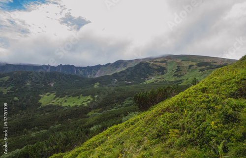 Fototapeta Naklejka Na Ścianę i Meble -  Beautifull view of Chornohora highest mountain range in Western Ukraine