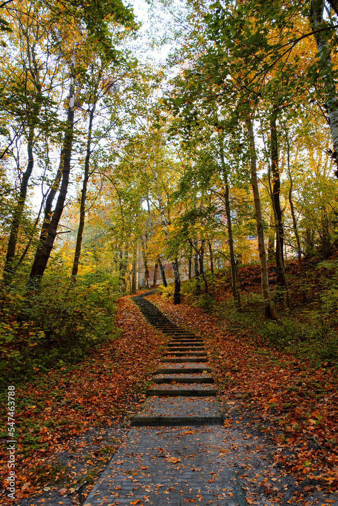 Stairs leading up to residential building from autumn forest. Stairs leading up to residential building from autumn forest.