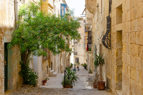 Fototapeta Naklejka Na Ścianę i Meble -  In the street of Senglea, Malta