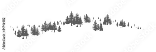  Pine Tree Forest Background. Spruce tree silhouette. Spruce tree Forest Background.