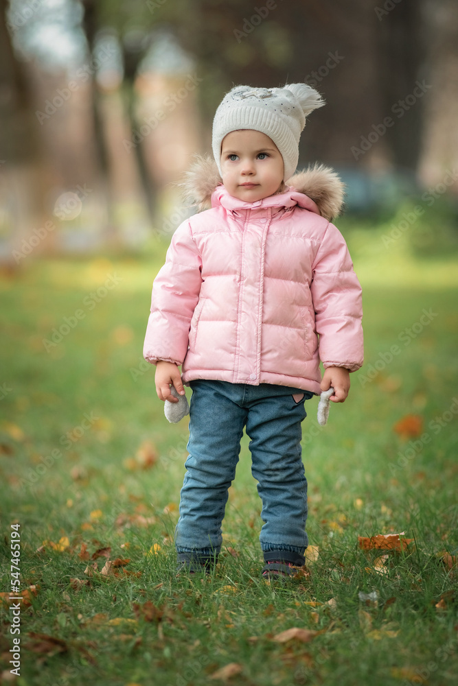 Portrait of a beautiful little girl in the autumn park. Portrait of a beautiful little girl in the autumn park.