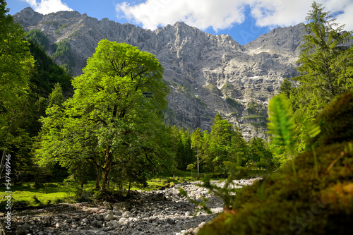 Valley in the Karwendel mountains, Tirol, Austria, Europe photo