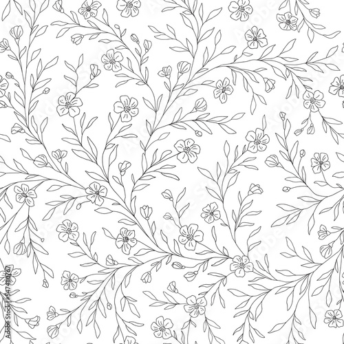 Seamless floral pattern. Botanical clip art. Wildflowers wreath skethc.Vector Line drawn leaves and branches.Vector black and white flowers.