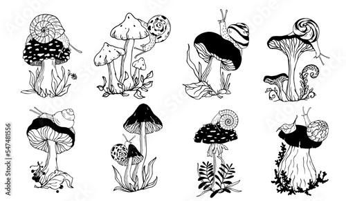 Collection of doodle sketches of forest mushrooms with creeping snails and various leaves, plants. Vector graphics.