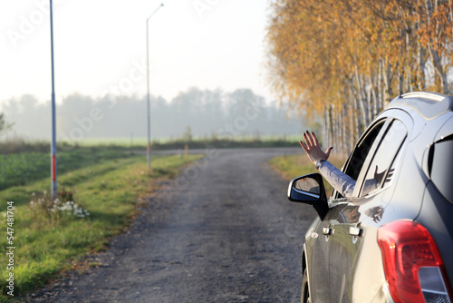 Fototapeta Naklejka Na Ścianę i Meble -  Ręka kobiety w oknie samochodu osobowego na drodze, aleja brzozowa w słońcu.