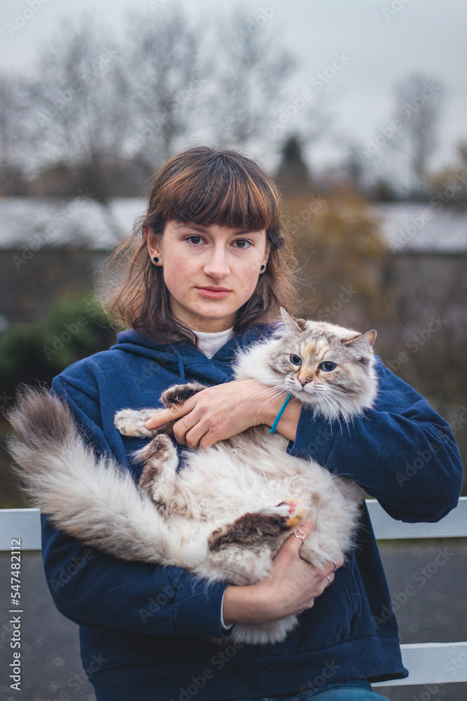 Beautiful brunette is holding in her arms grey and white princess of Ragdoll breed. Relationship between cat and girl. Cat's love for her owner