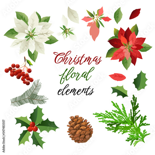 Poinsettia Flowers and Christmas floral elements. Beautiful set of Christmas decor. For greeting cards, wreath, invitation, New Year 2023 design. For wallpaper, textile, fabric, banner.