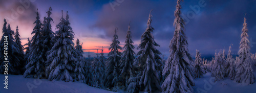Winter snowy landscape with fresh snow covered trees and mountain forest at winter evening,sky with clouds. Suchy vrch,Czech republic.  . © Jansk