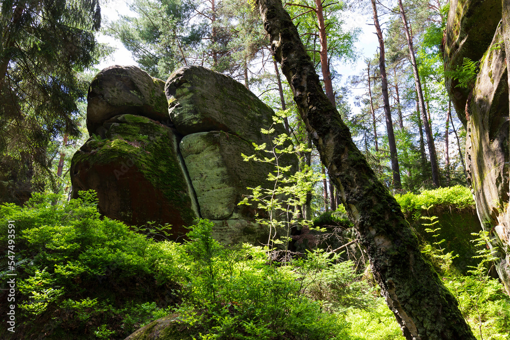 Beautiful sandstone Rocks in Czech Paradise, clear green Nature, Mala Skala, Little Rock, Czech Republic Beautiful sandstone Rocks in Czech Paradise, clear green Nature, Mala Skala, Little Rock, Czech Republic