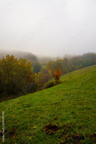 Nebellandschaft bei Hinterhermsdorf- Sächsische Schweiz 7 photo