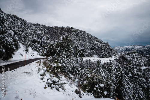 Snowy mountain forest during winter time