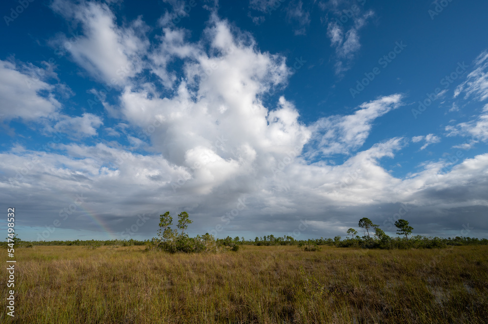 Storm clouds over sawgrass prairie in Everglades National Park, Florida on sunny autumn morning. Storm clouds over sawgrass prairie in Everglades National Park, Florida on sunny autumn morning.