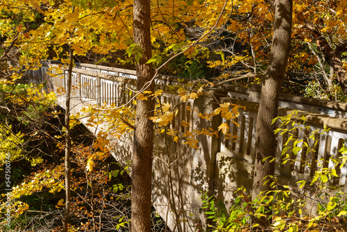 Autumn landscape. photo