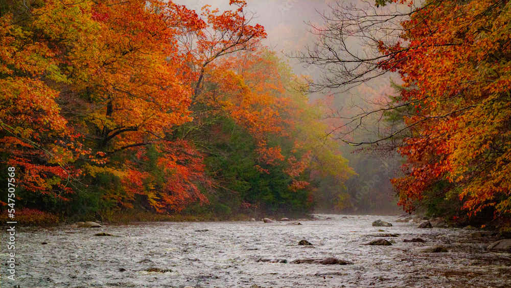 Foggy autumn river, Keystone Arch Bridges Trail, Chester, Massachusetts