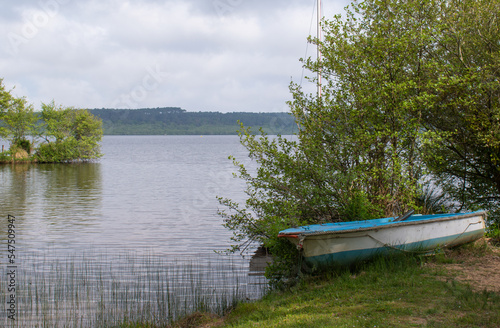 Barque sur un lac dans le département des Landes (Aquitaine), France