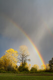 Rainbow passing through rain over yellow fall trees in a countryside scene